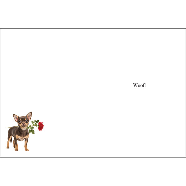 M067 - Happy Birthday - Animal Greeting Card