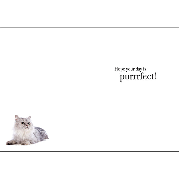 M075 - Happy Birthday - Animal Greeting Card
