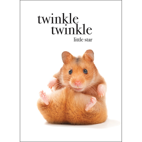 M076 - Twinkle Twinkle - Animal Greeting Card