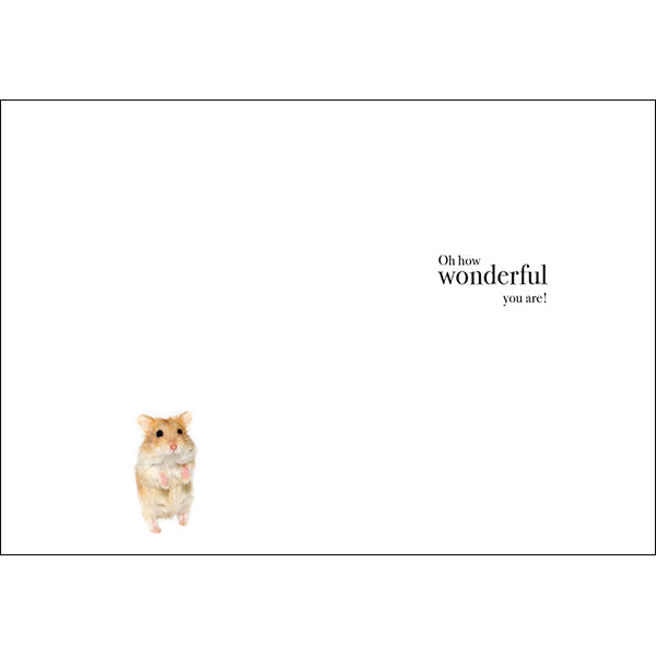 M076 - Twinkle Twinkle - Animal Greeting Card