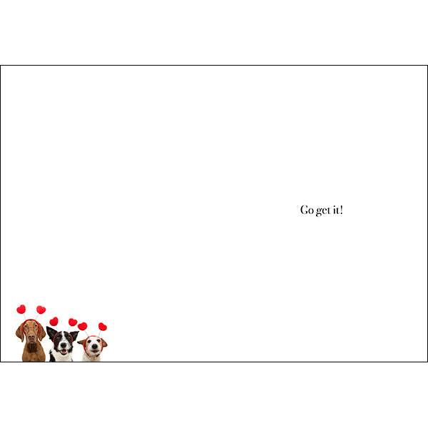 M083 - Be Unforgettable, Be Adventurous - Animal Greeting Card