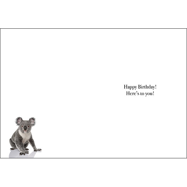 M098 - Cheers Big Ears! - Animal Greeting Card