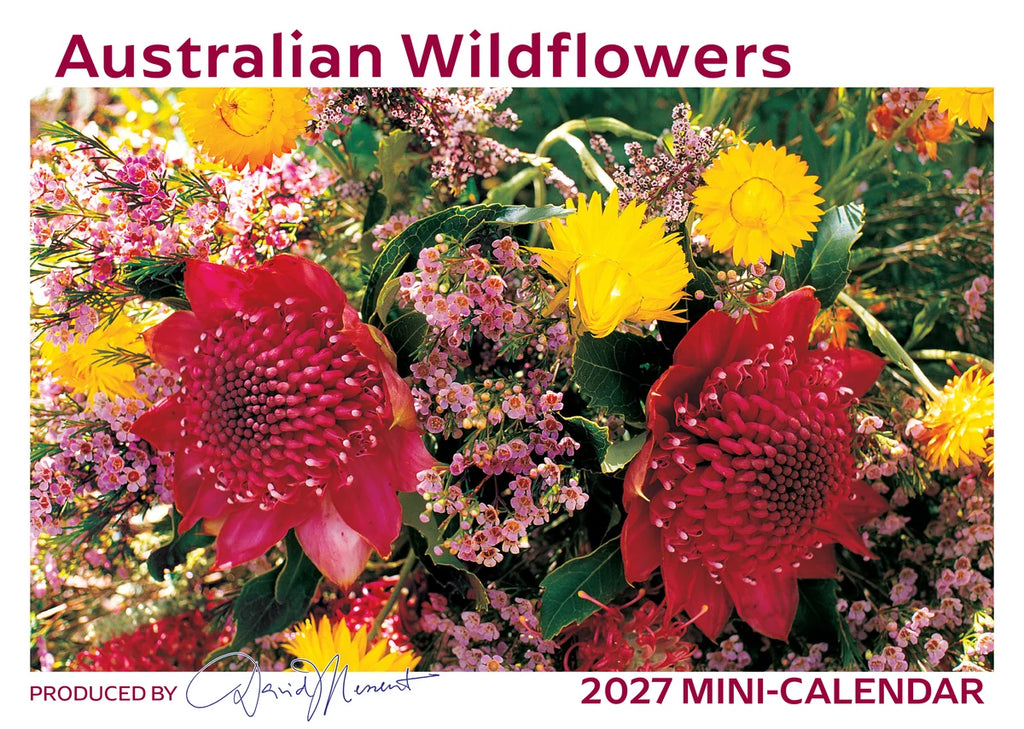 AUST WILDFLOWERS CALENDAR MINI: 2027