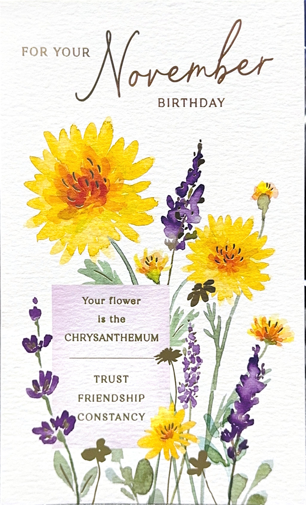 NOVEMBER MONTHLY BIRTHDAY CARD