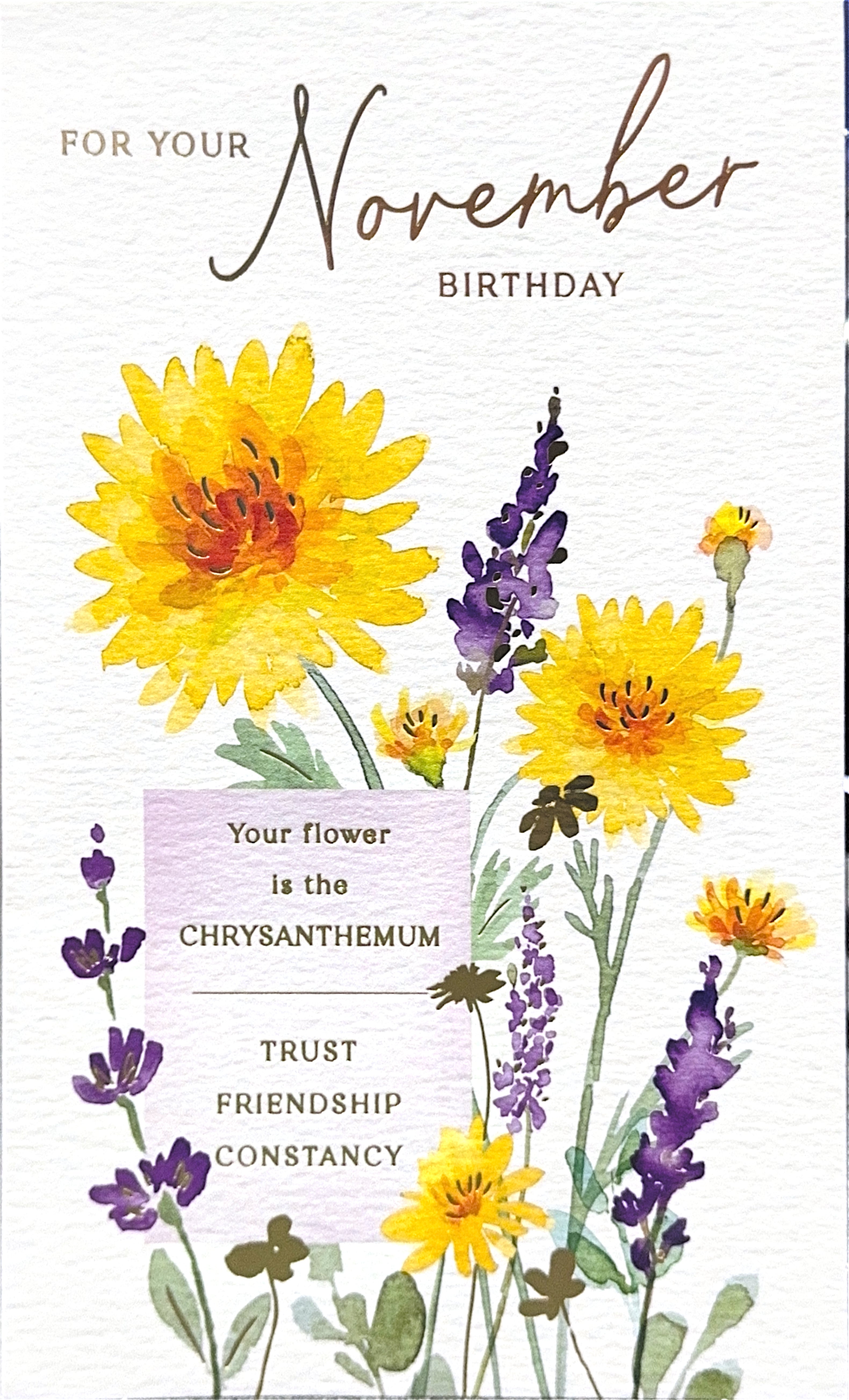 NOVEMBER MONTHLY BIRTHDAY CARD
