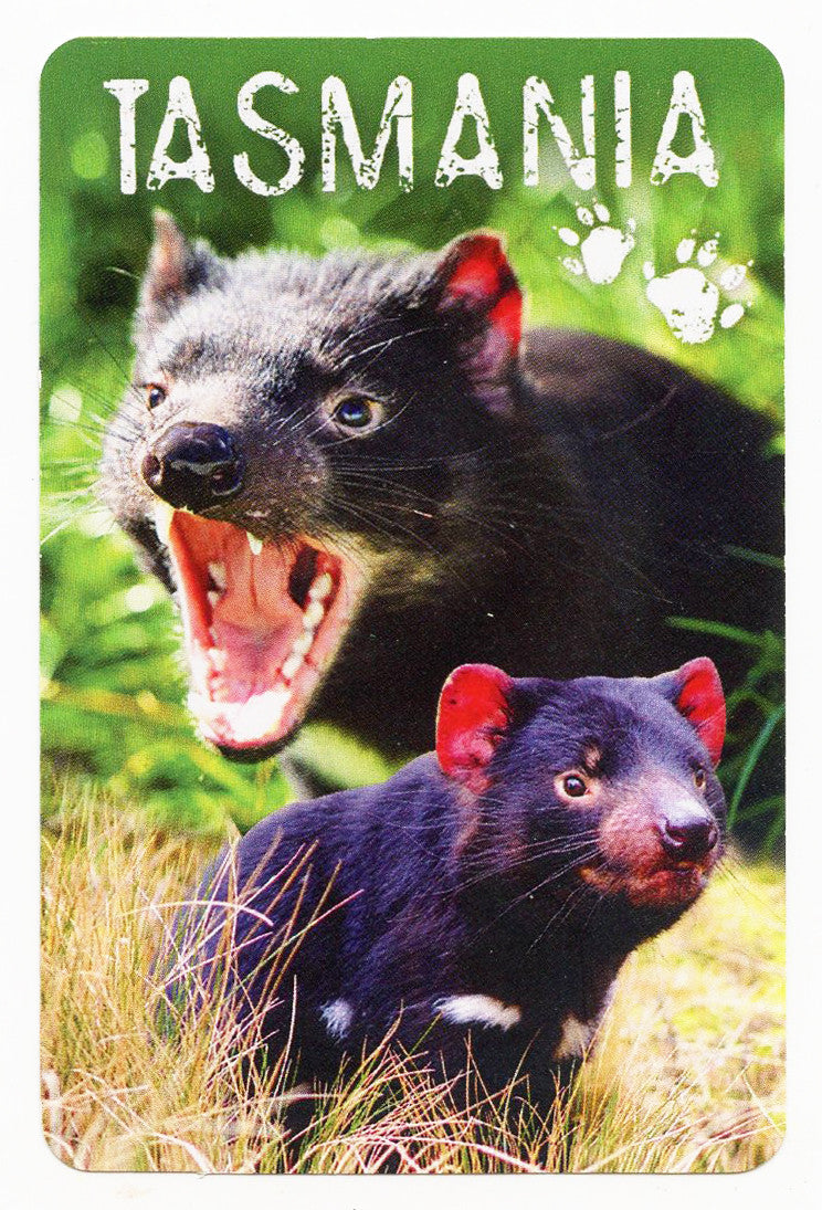 2 TASMANIAN DEVILS PLAYING CARDS