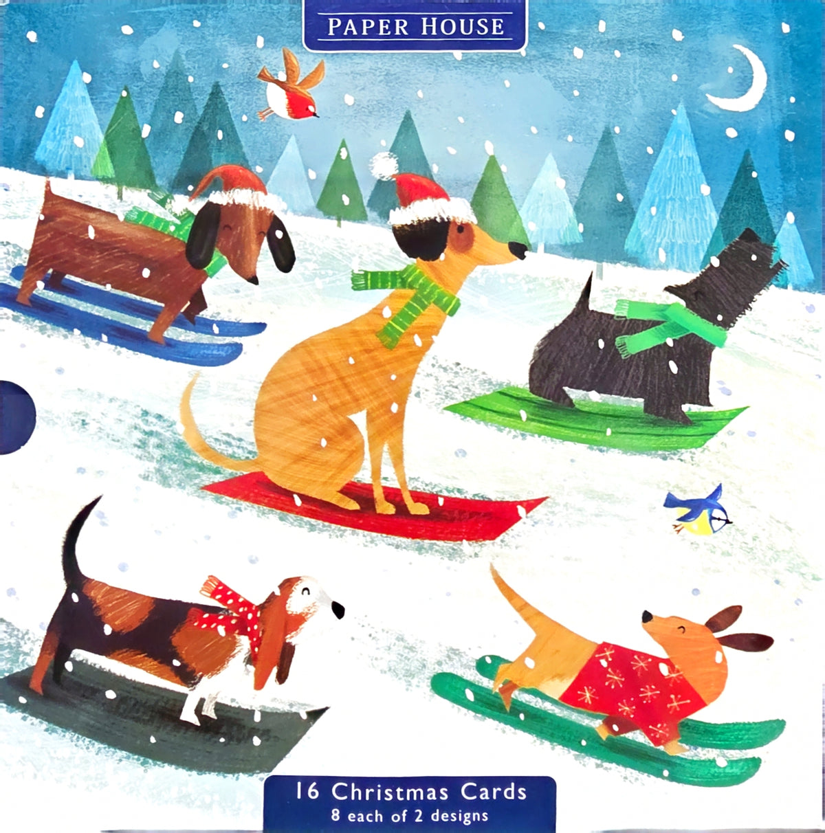 Boxed Card Park of 16 (2 designs)-Dogs Sledding