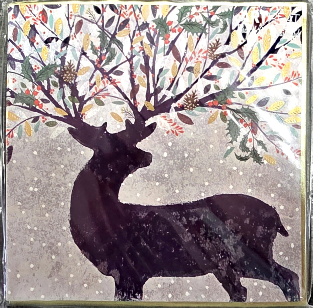 Card Pack of 6-Joy and Wonder