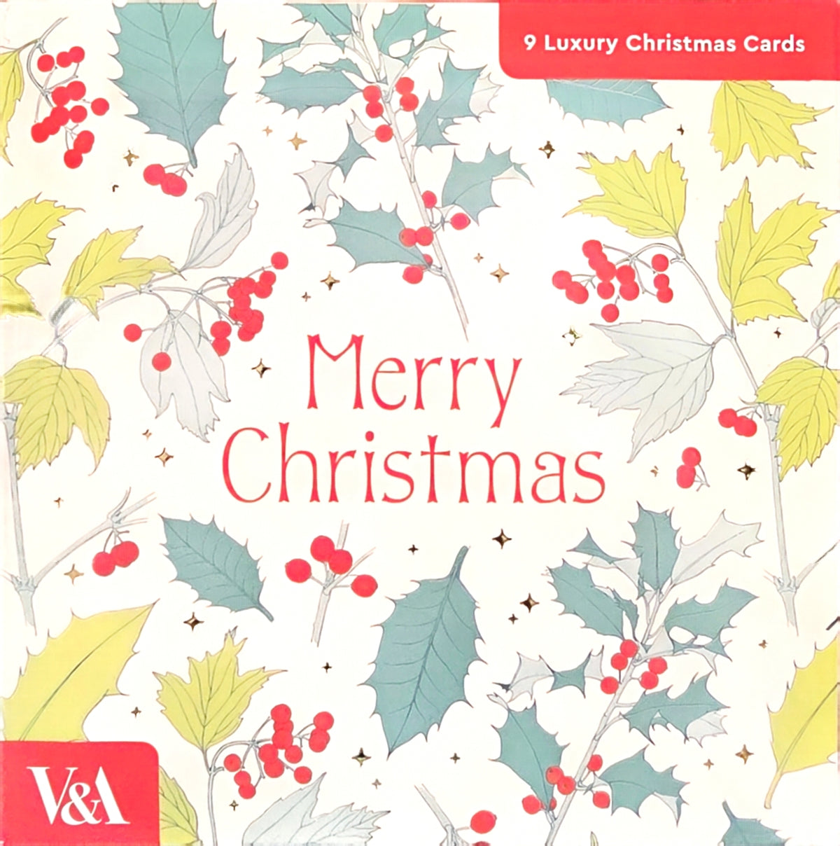 Boxed Card Pack of 9 (3 designs)-Festive Foliage