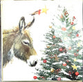 Card Pack of 6-Wish Upon A Star