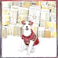 Card Pack of 6-Great Expectations