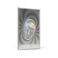 Star Trek Spock 5g Silver Collectible Foil