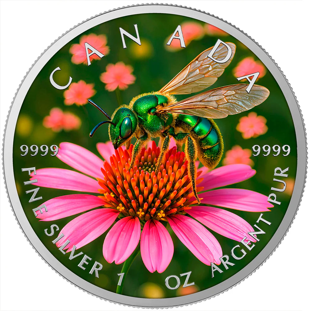 Sweat Bee 2026 Canada Maple Leaf 1oz Silver Coin