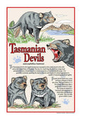 TEA TOWEL TASMANIA DEVIL & WORDINGL