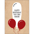 X101 - Happy birthday, you big knob! - sassy greeting card