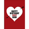 X115 - Happy birthday sexy bum - funny birthday card