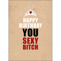 X98 - Happy birthday, you sexy bitch - rude birthday card