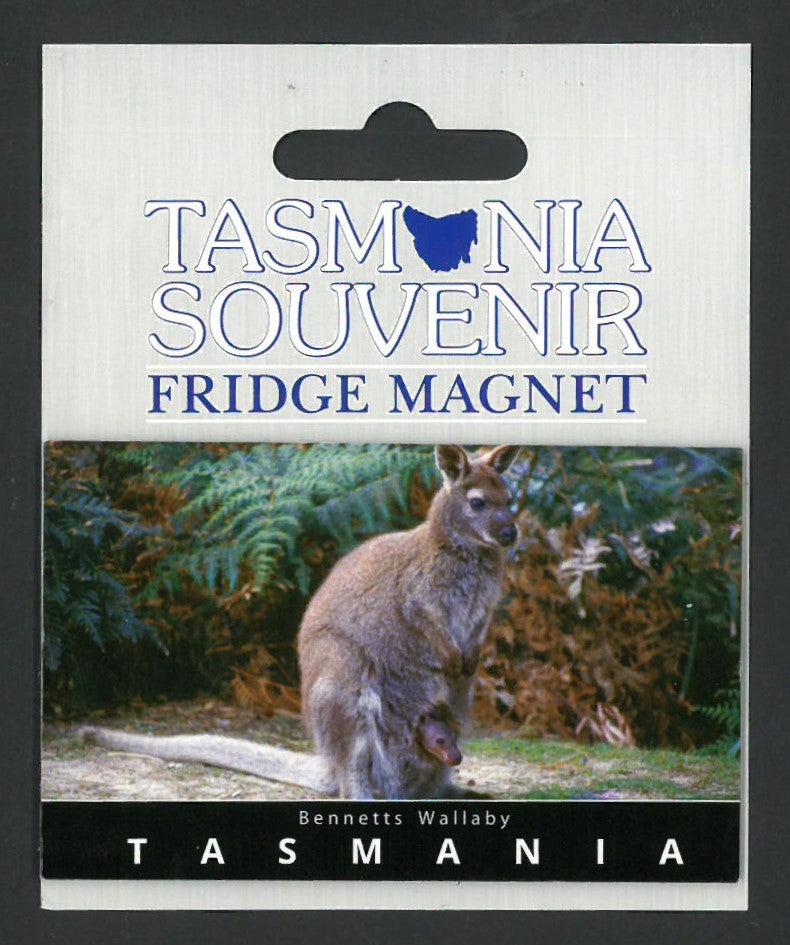TASMANIA FRIDGE MAGNET - BENNETT'S WALLABY