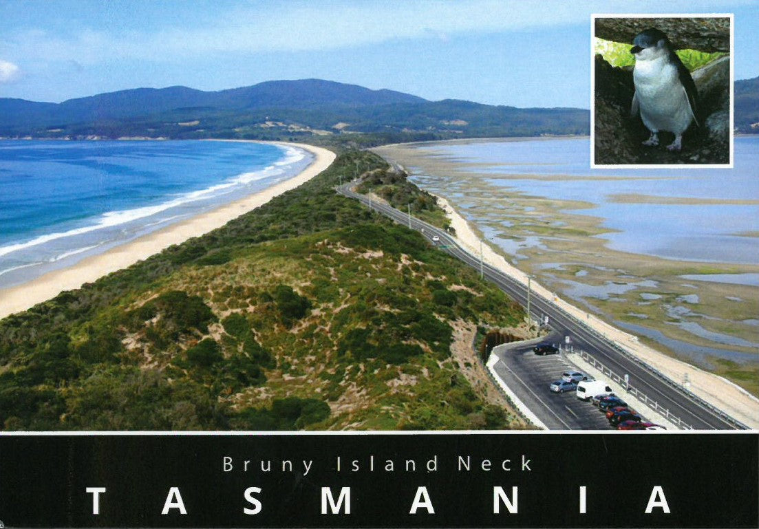 TASMANIA POSTCARD - BRUNY ISLAND NECK