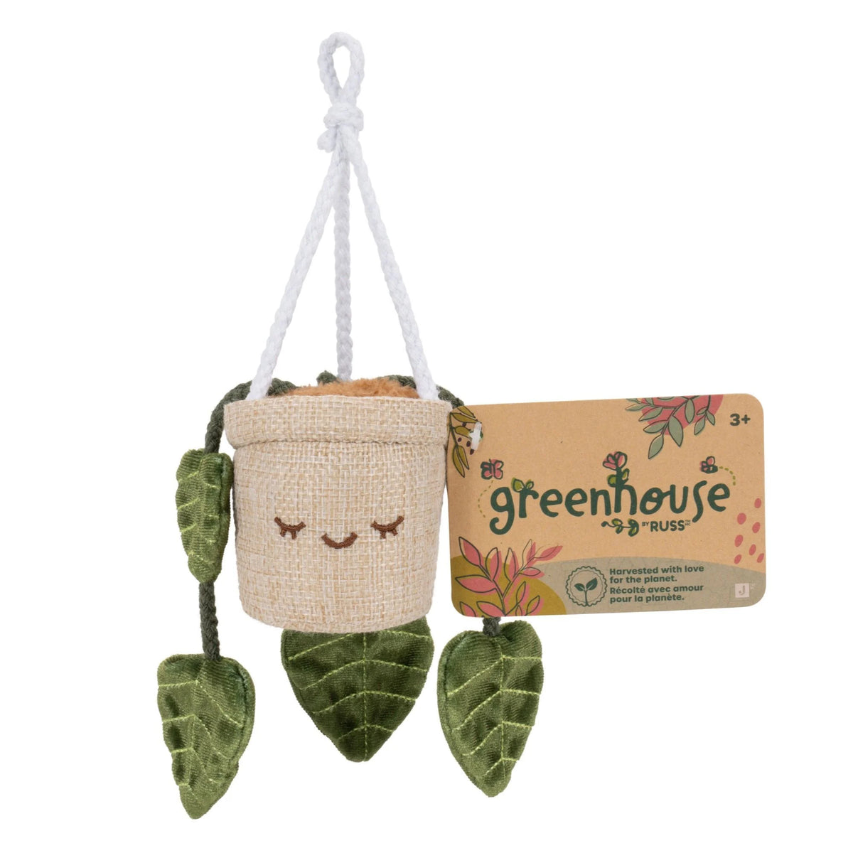 JAZWARE GREENHOUSE BY RUSS ADELA
